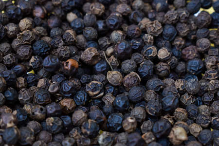 Dired black pepper are an essential part of the spice kit. Pepper seeds are used in curries, curry, salt and pepper tins, ayurveda medicines and garam masala. These are an integral part of traditionalの写真素材