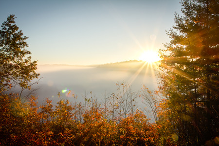 Foggy Morning Sunriseの写真素材