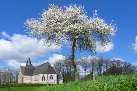 Thiouville - Springの写真素材