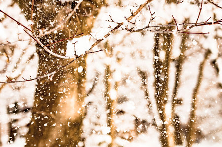 Sepia winter landscape