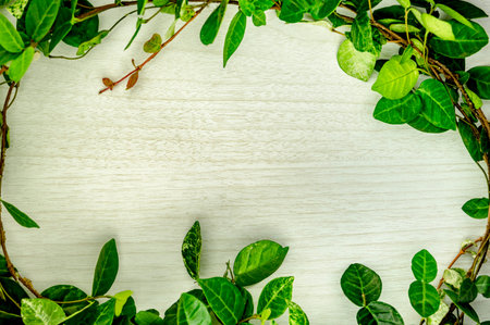 Faced with plant for the message frame