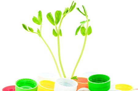Green shoots grow from the plastic lid, imageの写真素材