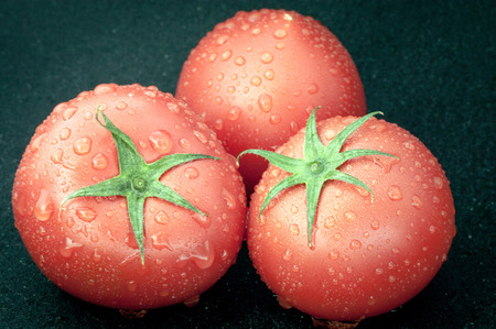 Fresh tomato water drops wetの写真素材