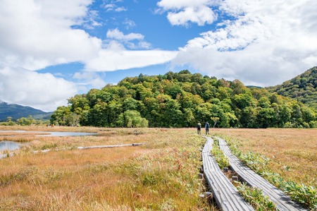 National parks of Japan 'Ozegahara' autumn landscapeの写真素材