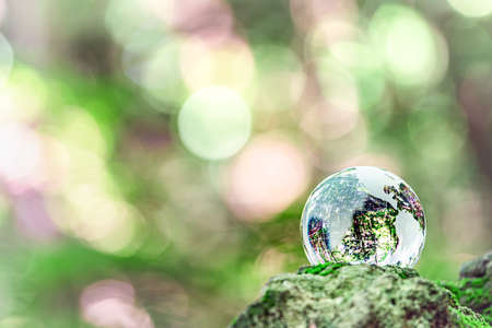 A glass globe wrapped in sunlight filtering through foliageの写真素材