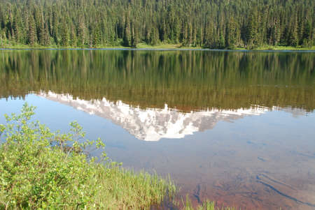 Mount Rainier National Park, Washingtonの写真素材