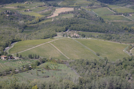 Landscape of Tuscany fields in Italy