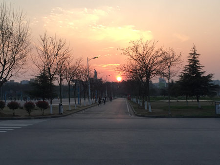 Sunsetの写真素材