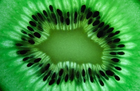 Macro shot kiwi の写真素材