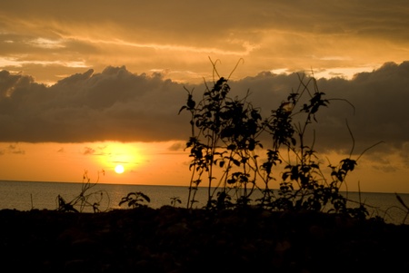 beautiful sunset at beachの写真素材