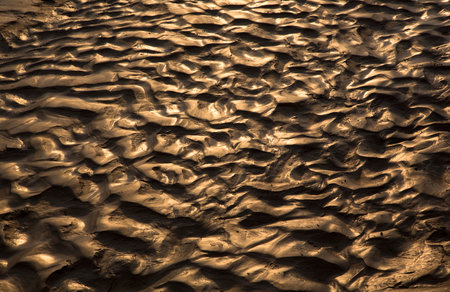 riverbed mud after floodの写真素材