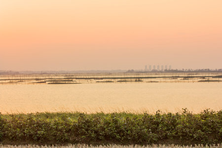 The scenery of the lake in the eveningの写真素材