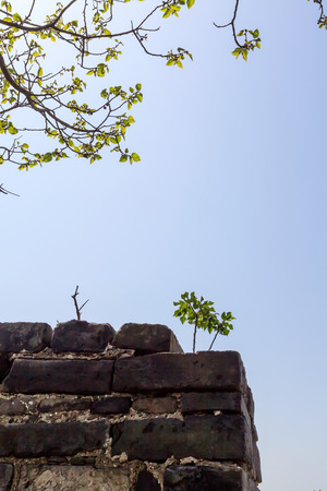 A sunny day in ancient wallの写真素材