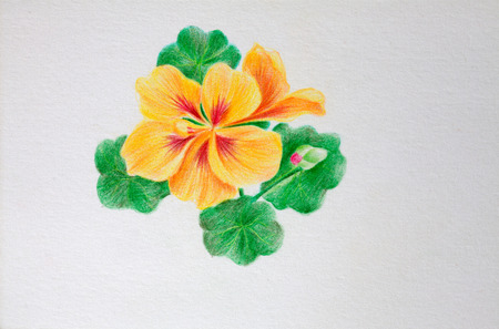 Use color lead creation of beautiful picturesの写真素材