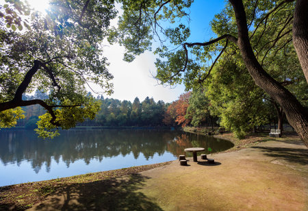 Sunny days sceneryの写真素材