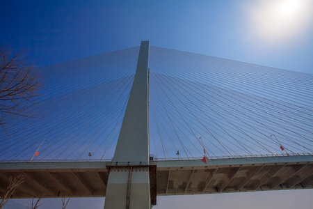 Bridge