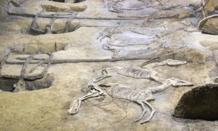 Xiong Jia Zhong Keng Museum.のeditorial素材