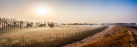 foggy scenery in the fieldの写真素材