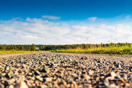 A nearby gravel road leading through the forest.の写真素材
