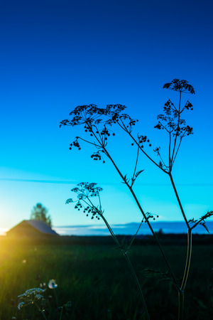 A beautiful but very typical view of a summer night in the rural Finland. The midnight sun is just setting.の写真素材