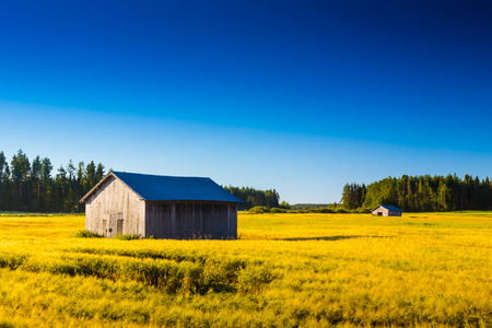 The barns are in the middle of the fields waiting for the farmers to collect the crops.の写真素材