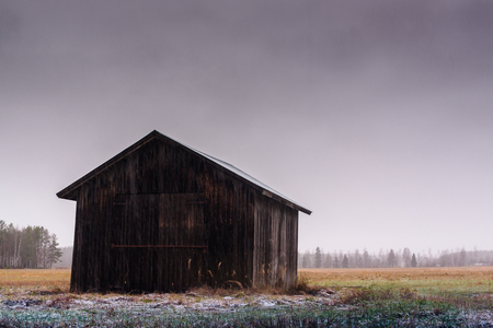 The snow started to fall on the lonely barn house in the rural Finland.の写真素材
