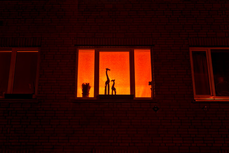 Two giraffe statues on a window in Tallinn, Estonia. The orange curtain creates an illusion of a...