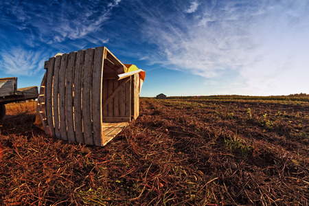 A wooden crate waiting for potatoes on the autumn fields of the rural Finland. It's harvest time and the fields are full of tractors and crates.の写真素材