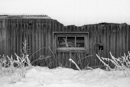 A three-part window frame on a wooden wall of an old barn house. The frost has covered the barn walls.の写真素材