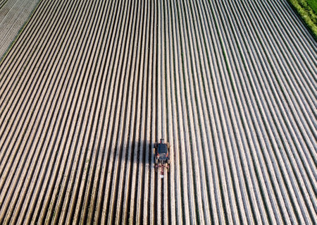 The farmer is cleaning up the plows of the field in the middle of the summer. The vehicle looks very small on the vast field and the stong lines.の写真素材