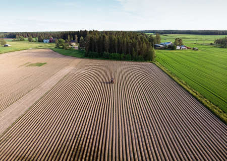 A small tractor driving on the straight plows of a field on a bright summer day.の写真素材