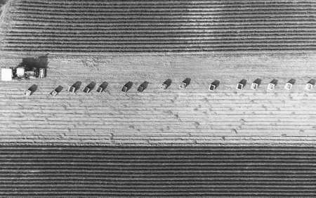 A row of wooden crates and a tractor seem to just wait to start the harvest job. Some of the rows of potatoes have already been harvested.の写真素材