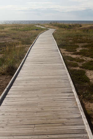 A boardwalk leads to the beach through the harsh nature of the Nordic island.の写真素材
