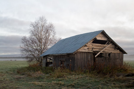 An abandoned barn house stands on the autumn fields. The mist is rising and slowly covering both the fields and the barn houses.の写真素材