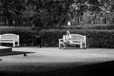 A senior lady is sitting on the wooden park bench and watching the birds. The summe day is getting warmer and she's preparing to take off her coat.の写真素材