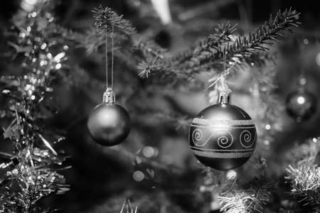 Two Christmas baubles are hanging in the Christmas tree. The tree is a real spruce brought indoors.の写真素材