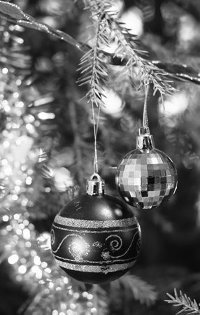 Two old fashioned baubles hanging in the traditional Christmas tree. The tree is a real spruce.の写真素材