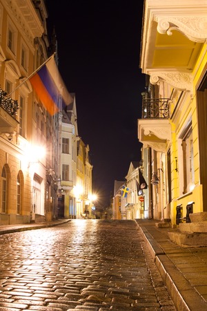 night views of Tallinn on New Year's Eve, Estoniaの写真素材