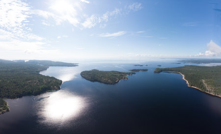 Aerial top view to island Kilpola overgrown with sparse trees in summer sunny day. Skerries Ladoga lake consisting of 650 rocky islands and steep cliffs. National park, Karelia, Russian natureの写真素材