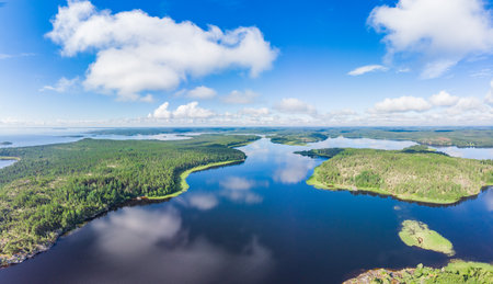 Aerial top view to island Kilpola overgrown with sparse trees in summer sunny day. Skerries Ladoga lake consisting of 650 rocky islands and steep cliffs. National park, Karelia, Russian natureの写真素材