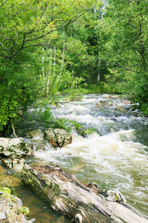 mountain streamの写真素材