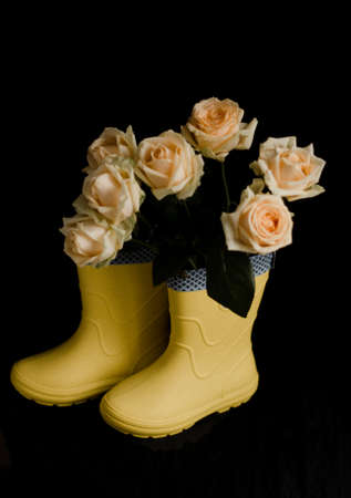 Yellow roses in yellow rubber boots.