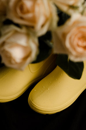 Yellow roses in yellow rubber boots.の写真素材