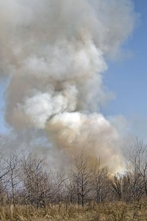 Brush Fire Smokeの写真素材
