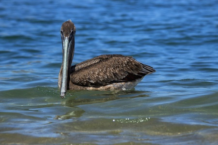 Relaxingの写真素材