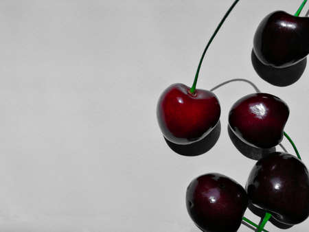 Black-bellied cherry on a light gray background