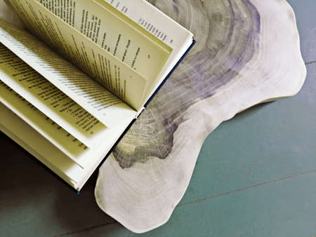 On a wooden board and a neutral background, an open bookの写真素材