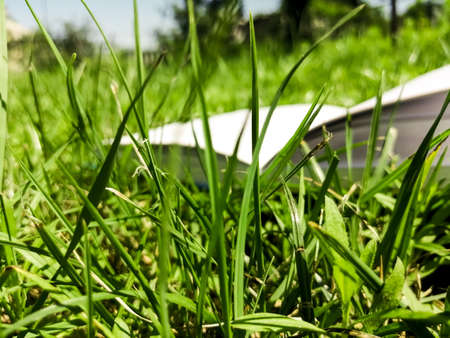An open book lies on a green lawn.