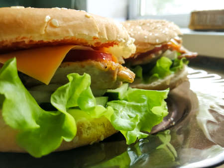 On the plate are two homemade gambergersの写真素材