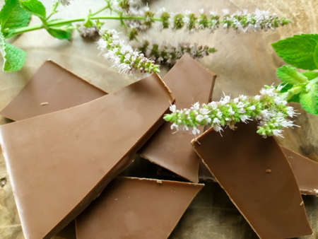 Next to mint flowers pieces of broken chocolateの写真素材